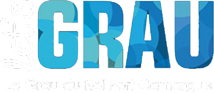 Webcams Grau Du Roi Letsgrau